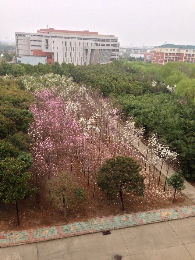 大學(xué)畢業(yè)還能考四六級(jí)嗎報(bào)考條件有哪些?社會(huì)人士怎么考四六級(jí)?