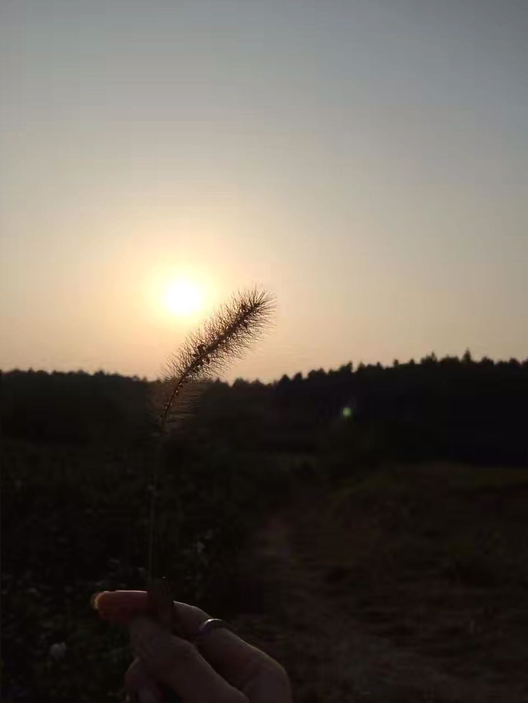 늴ͺĂߣą^eʲô