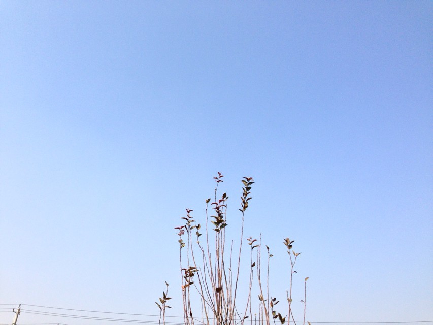 Ќ(zhun)ô(bo)lB?Ќ(zhun)W(xu)v(gu)ҳJ(rn)J(rn)ɶȸ߆?