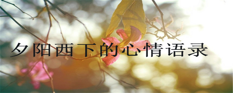 PcϦµZmϰlȦ