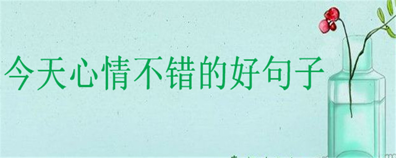 鲻e(cu)ĺþ茑ľ