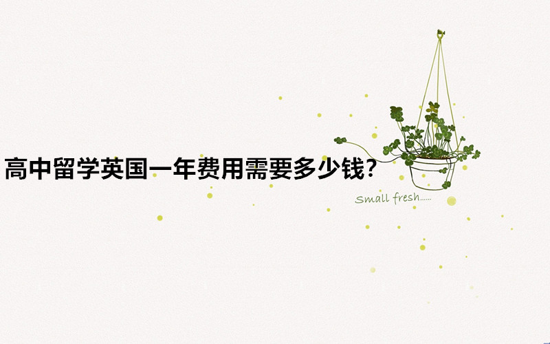W(xu)ӢW(xu)ҪʲôlW(xu)ӢһM(fi)ҪX